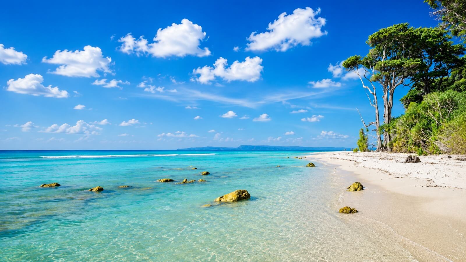 Andaman Budget Trip