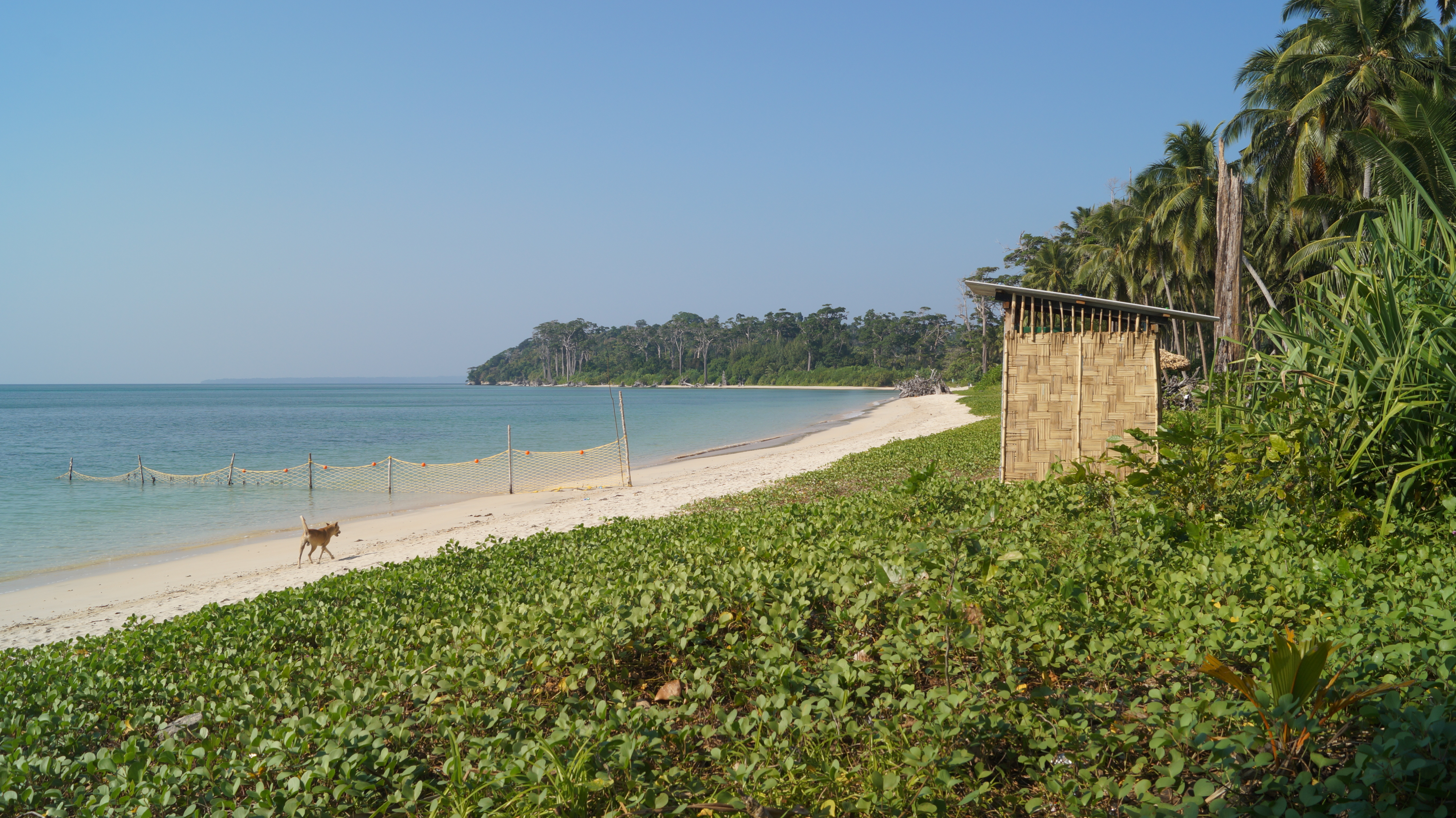 Havelock