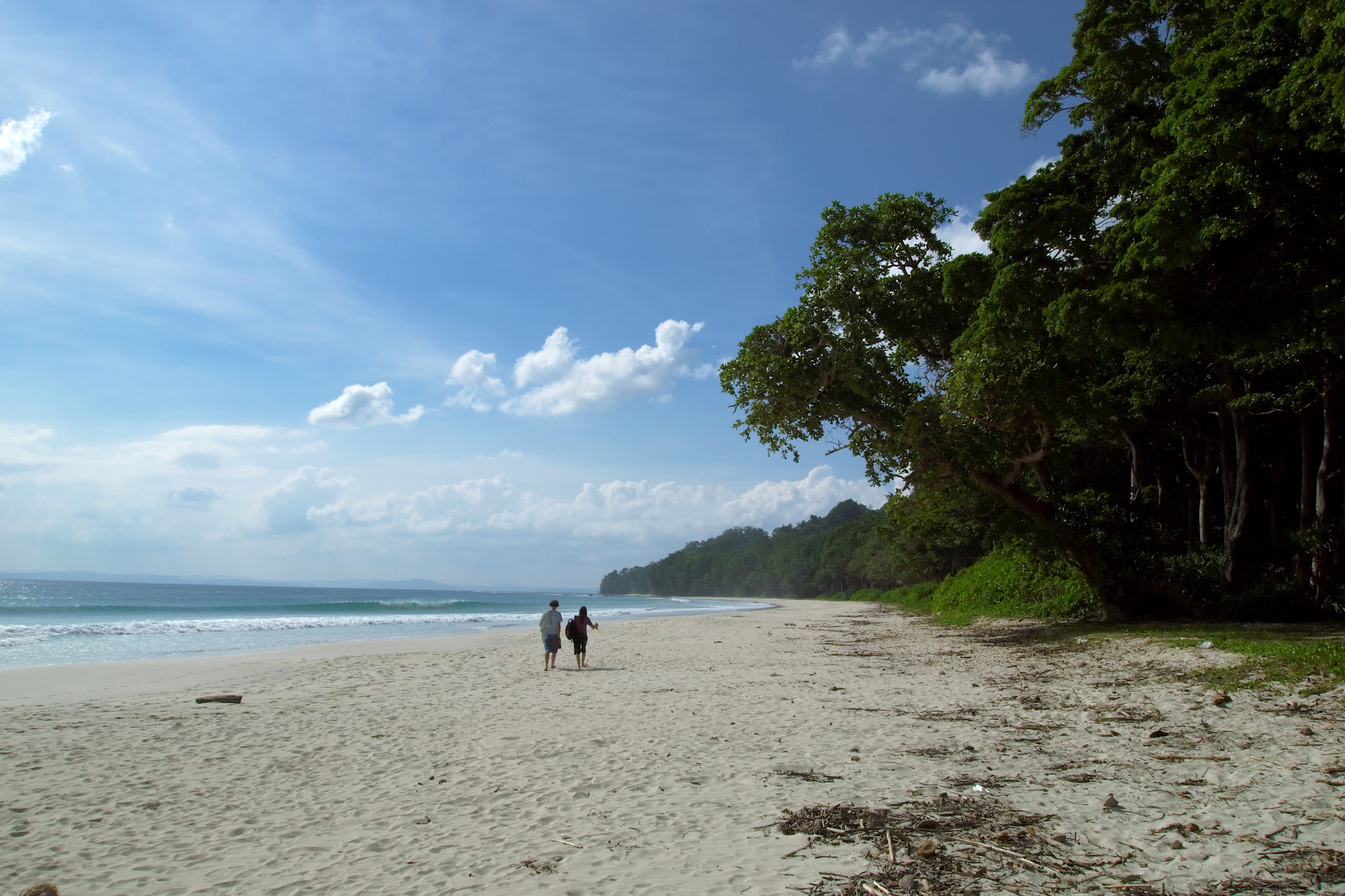 Havelock