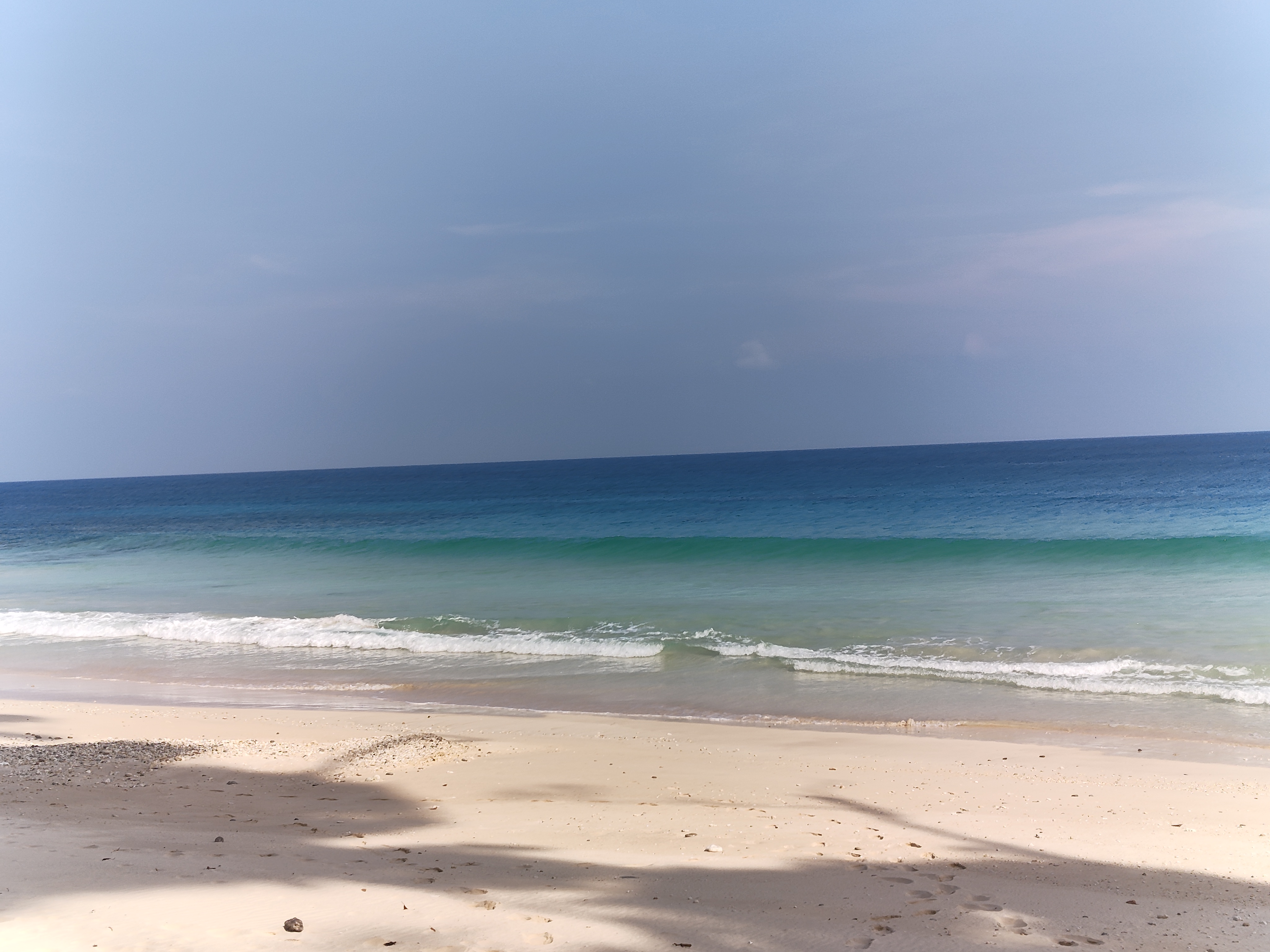 Havelock